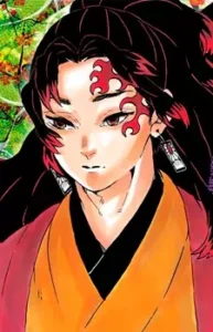 Yoriichi Tsugikuni image
